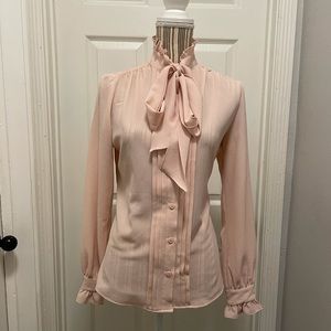 Eva Mendes Blush Pink Button up Blouse
